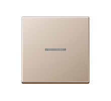 JUNG A 500 Шампань Клавиша 1-ая с/п