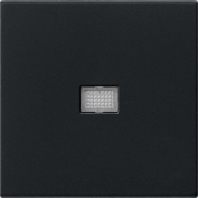 Gira Клавиша с большим контрольным отверстием