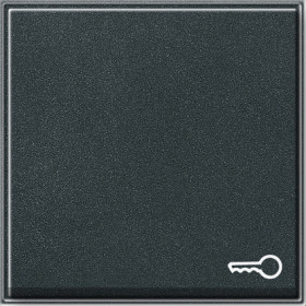 Gira TX 44 Антрацит Клавиша с пиктограммой 