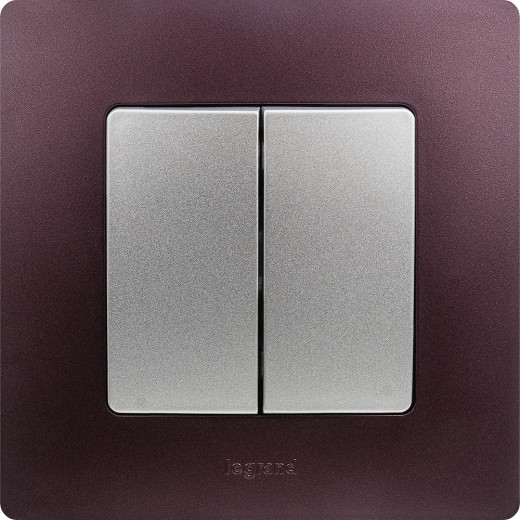 Выключатель двухклавишный - Legrand Etika - 10А 250В безвинтовые зажимы - алюминий