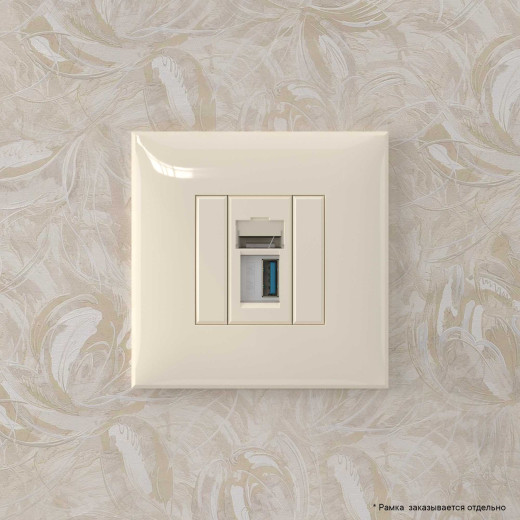 USB 3.0 розетка одинарная в стену, тип А-А, Avanti, ванильная дымка