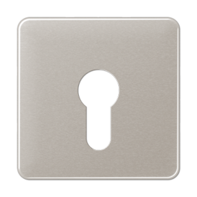 JUNG центральная плата для вставки с ключом, платина