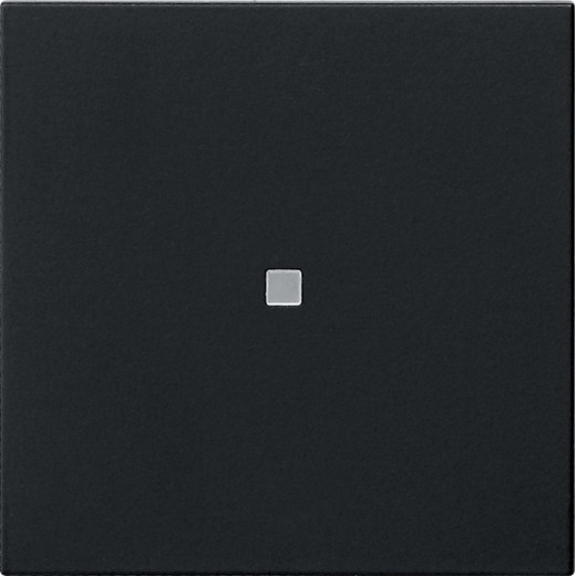 Накладка управления System 3000 BT