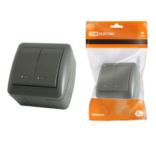 TDM Выключатель 2-кл. открытой установки с подсветкой IP44 10А серый 