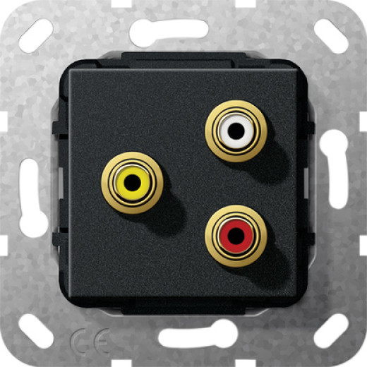 Тюльпан аудио,  гнездо