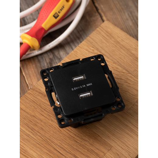 Стокгольм Механизм Розетки USB 2-местной 2,1А винтовые клеммы черный EKF PROxima