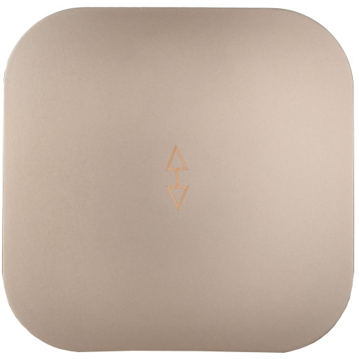 GLORY Выключ. 1-кл. прох. о/у 10А ВСп10-1-0-ХШм шамп. м. IEK