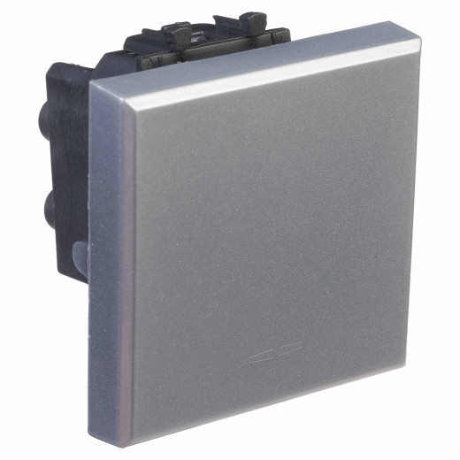 Инвертор одноклавишный модульный, Avanti, закаленная сталь, 2 модуля