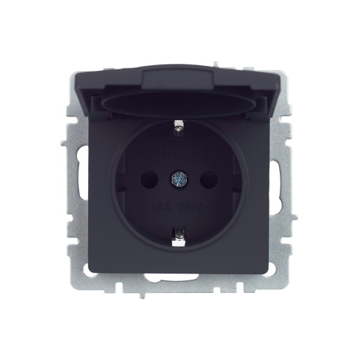 BRITE Роз. с з/к/ш с кр. 16А IP44 РСбш10-3-44-БрГ граф. IEK