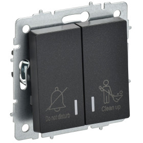 IEK BRITE Выключ. 2-кл. с инд. отел. 10А ВС10-2-9-БрЧ черн.