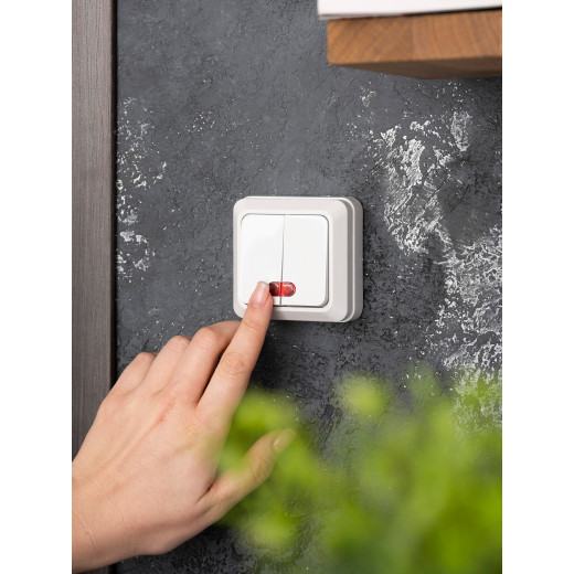 Рим Выключатель 2-клавишный с индикатором 10А белый EKF