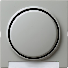 Gira Клавиша с полем для надписи