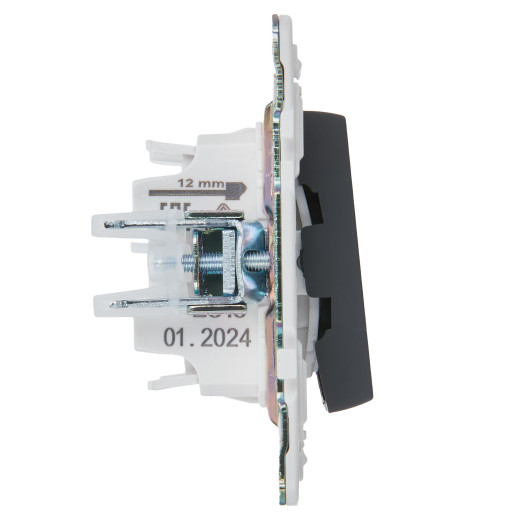 SKANDY Выключ. 2-кл. прох. с инд. 10А SK-V10G граф. IEK