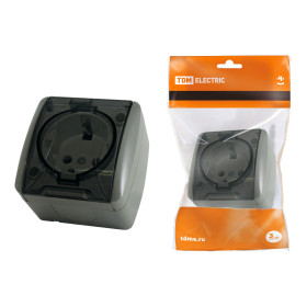 TDM Розетка 2П+3 открытой установки IP54 16А с прозрачной крышкой серая 