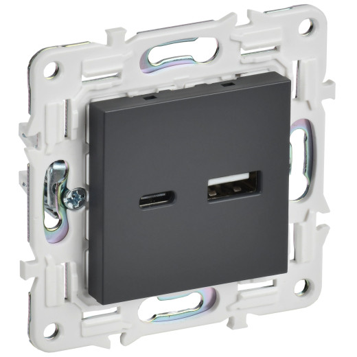 SKANDY Роз. USB A+C 3,1А SK-R14T титан IEK