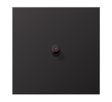 JUNG Центральная плата, 1 пост, 1 тумблер, цилиндр c окошком металл Dark серия LS