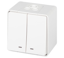 ЭРА Выключатель Эксперт 11-1505-01 двойной с подсветкой IP55 10АХ-250В ОУ белый