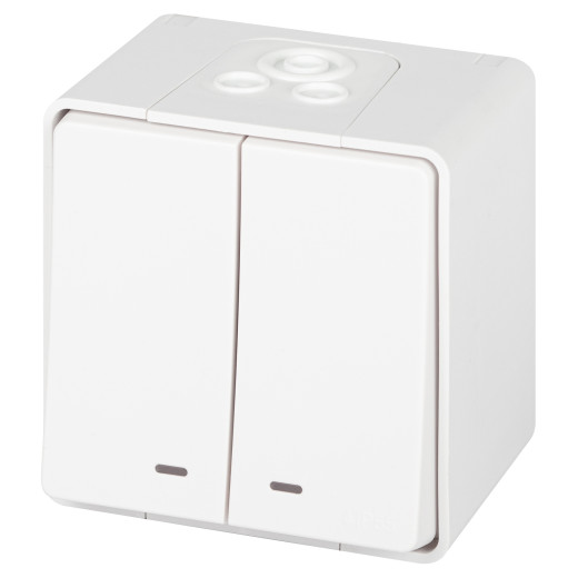 Выключатель ЭРА Эксперт 11-1505-01 двойной с подсветкой IP55 10АХ-250В ОУ белый