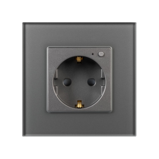 Розетка электрическая с Zigbee управлением SCT-OMALI-EUZB1-PL-GR (240V, 16A, Zigbee) (Arlight, -)