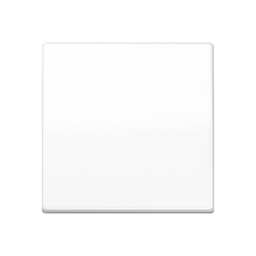 Одинарная клавиша для балансирных механизмов выключателей (кнопок), в комплекте с AS90HP (крепежный элемент), возможно IP44, дюропласт, белый, AS500