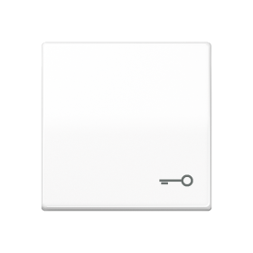 JUNG Клавиша для выключателя с символом 