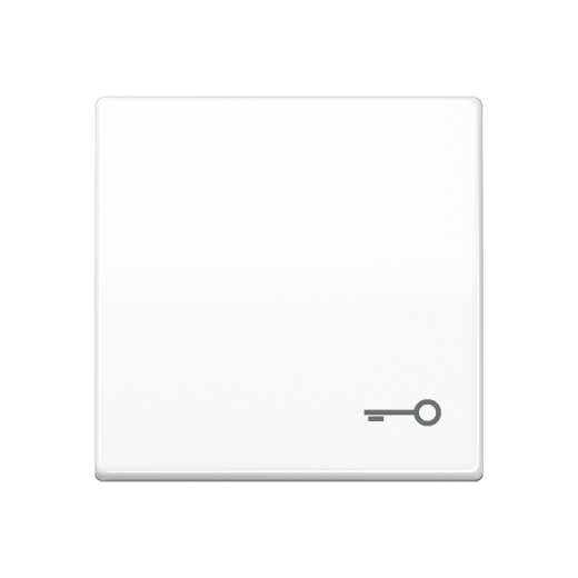 Клавиша для выключателя с символом 