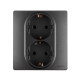 Розетка двойная с заземлением - Legrand Inspiria - со шторками в сборе 16А 250В безвинтовые зажимы - антрацит