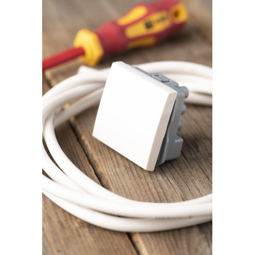 Выключатель 1-кл. 10А, без индикатора EKF