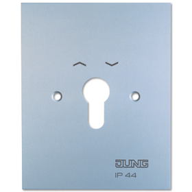 JUNG Металлическая крышка 125×100 мм с символами алюминий