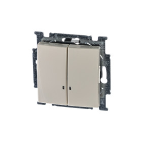ABB BJB Basic 55 Беж Выключатель 2-клавишный с подсветкой