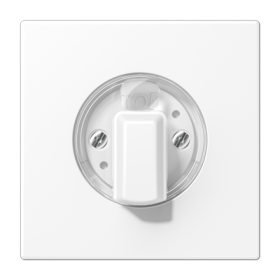 JUNG LS 990 Белый матовый Накладка на поворотные выключатели