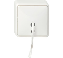 Gira Белый Выключатель шнуровой, накладной монтаж