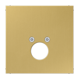 JUNG крышка для разъема акустических систем, латунь Classic