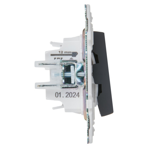 SKANDY Выключ. 2-кл. 10А SK-V04G граф. IEK