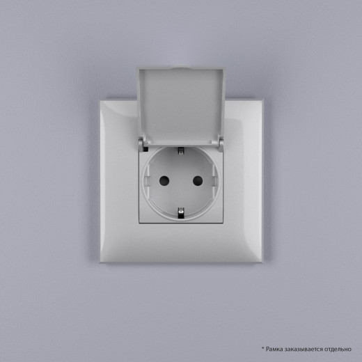 Розетка с крышкой в стену, 2P+E, с з/ш, Avanti, закаленная сталь