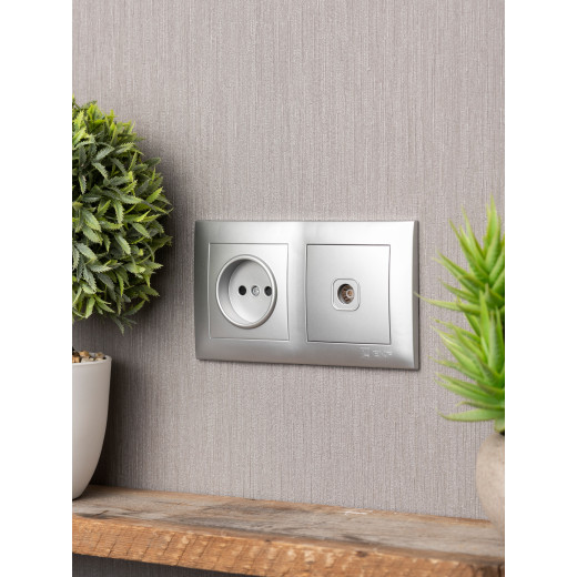 Валенсия Рамка 2-местная сталь EKF