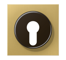 JUNG  центральная плата для замка