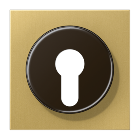 JUNG  центральная плата для замка