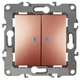 ЭРА Выключатель Серия 12 12-1105-14 двойной с подсветкой 10АХ-250В IP20 Эра12 медь