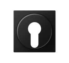 JUNG A Flow/A 550 Черный матовый Накладка на выключатель замочного механизма