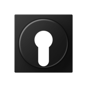 JUNG A Flow/A 550 Черный матовый Накладка на выключатель замочного механизма