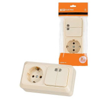 TDM Блок комбинированный выключатель 2-кл. 10А с подсветкой + розетка 2П+З 16А 250В БКВР IP20 сл. кость 