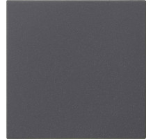 Gira Накладка управления System 3000