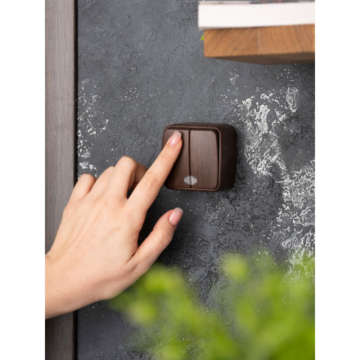 Выключатель 2-клавишный ОП Минск 10А с индикатором тёмное дерево EKF