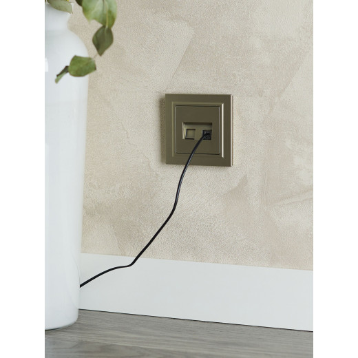 BRITE Роз. комп. 2-ая RJ45 кат.5E РК10-2-БрШ шамп. IEK