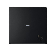 Simon S82 Concept Матовый черный, Клавиша для выключателя с подсветкой и пиктограммой 