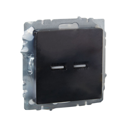 BRITE Роз. USB A+A 3,1А РЮ10-1-БрЧ черн. IEK