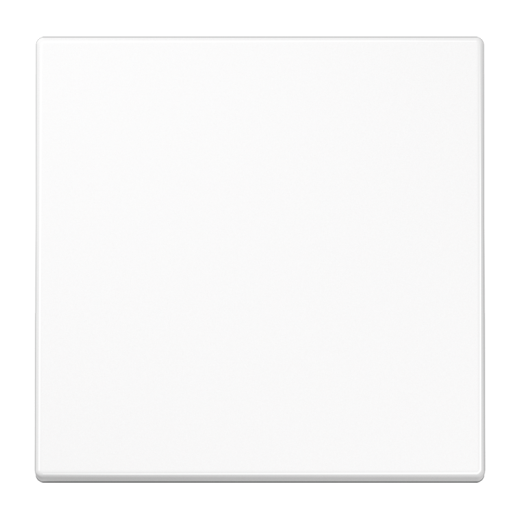 Одинарная клавиша для балансирных механизмов выключателей (кнопок), в комплекте с CD90HP (крепежный элемент), возможно IP44, дюропласт, белый, LS990