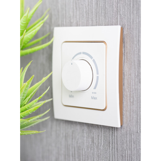 Стокгольм Рамка 1-местная белая с линией цвета шампань EKF PROxima