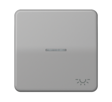 JUNG CD 500/CD plus Серая Клавиша 1-ая с/п с символом ОСВЕЩЕНИЕ